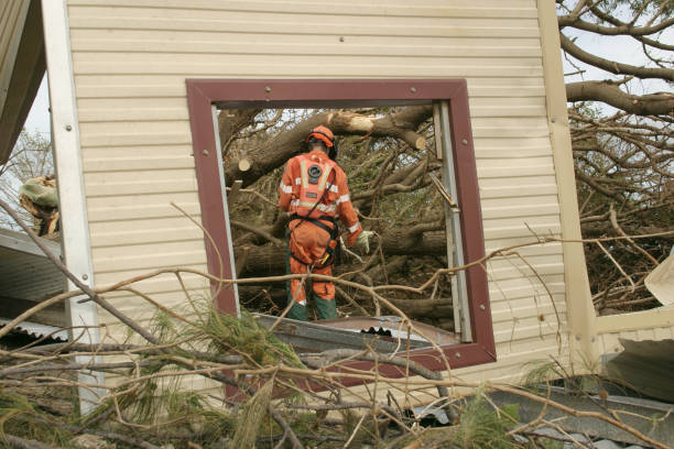 Tree Care Services